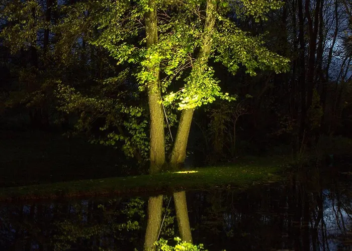 Michels Mühle - Wieder Land Sehen *